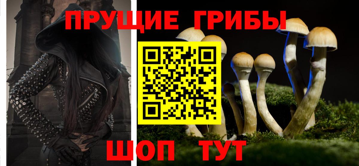 Елизово  Галлюциногенные грибы Magic Shrooms  Вход с VPN 