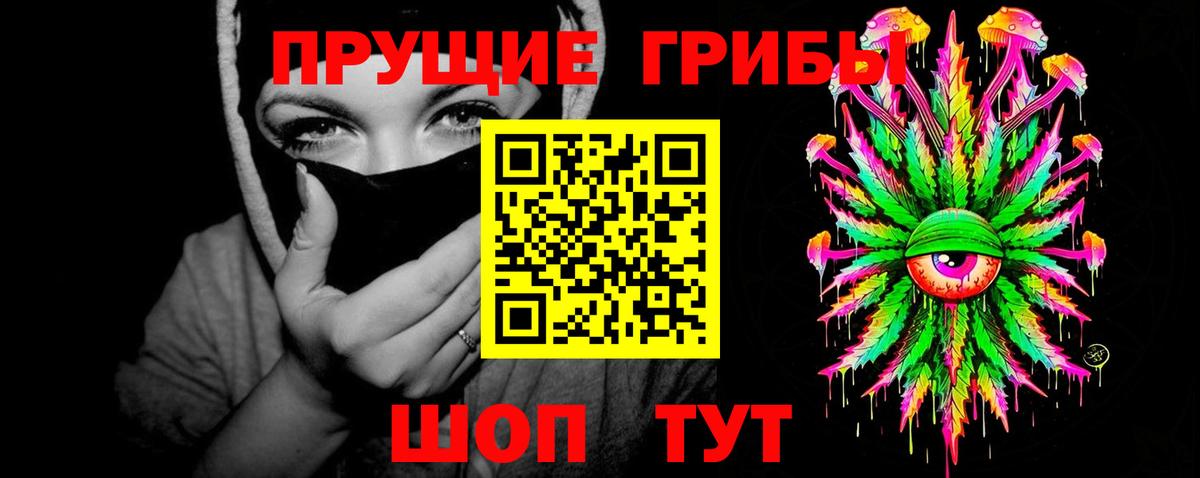 Галлюциногенные грибы Psilocybine cubensis Елизово